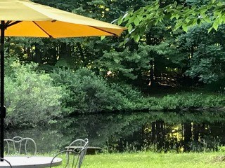 pond